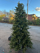 Costco 9-Ft Artificial Pre-Lit LED Christmas Tree White/Colorful lights